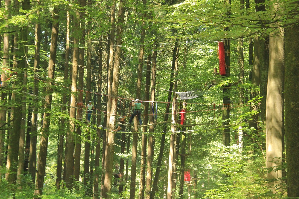 Kletterpark Tannenbühl | Abenteuer in Bad Waldsee