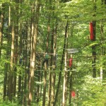 Kletterer-auf-dem-Abenteuerkletterpark-Tannenbühl-Bad-Waldsee