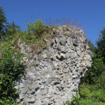 Reste der Burgrunie Neuwaldsee