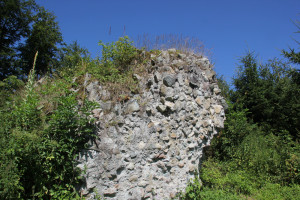 Reste der Burgrunie Neuwaldsee