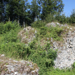 Ruine der Burg Neuwaldsee