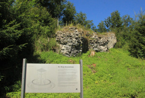 Schild und Burgreste Neu Waldsee