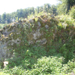 Steinreste der Burgrunie Neuwaldsee