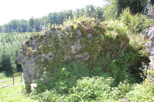 Steinreste der Burgrunie Neuwaldsee