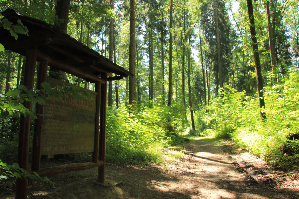 Wanderweg Tannenbühl: Waldlehrpfad