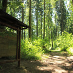 Waldlehrpfad-Tannenbühl