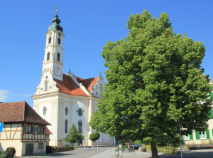 Wallfahrtskirche st peter und paul Steinhausen