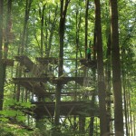 Zentralpodest Abenteuerkletterpark Tannenbühl Bad Waldsee