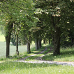 allee zur kapelle hohkreuz aulendorf