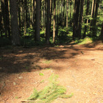 gefälle Tannenbühl Bad Waldsee