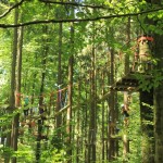 parcours im wald Abenteuerkletterpark Tannenbühl Bad Waldsee