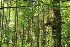 parcours im wald Abenteuerkletterpark Tannenbühl Bad Waldsee