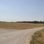 10-Wanderweg-zum-Wald-hinter-Kümmerazhofen