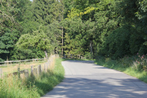 106 Bergab ins Schussental nach Durlesbach