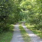 201 Wanderweg entlang der Schussen