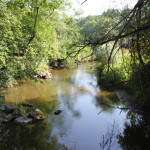 209 Schussenverlauf neben Wanderstrecke