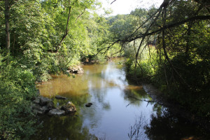 209 Schussenverlauf neben Wanderstrecke