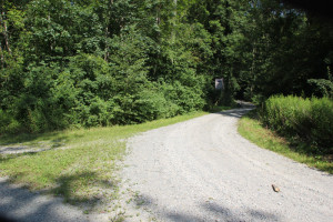 301 Abzweigung von Schussen tiefer in den Wald