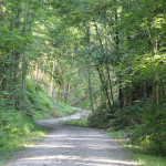 304 Wanderweg Mochenwangener Wald