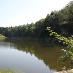 37-Pause-und-Ausblick-über-den-BUnkhofer-Weiher