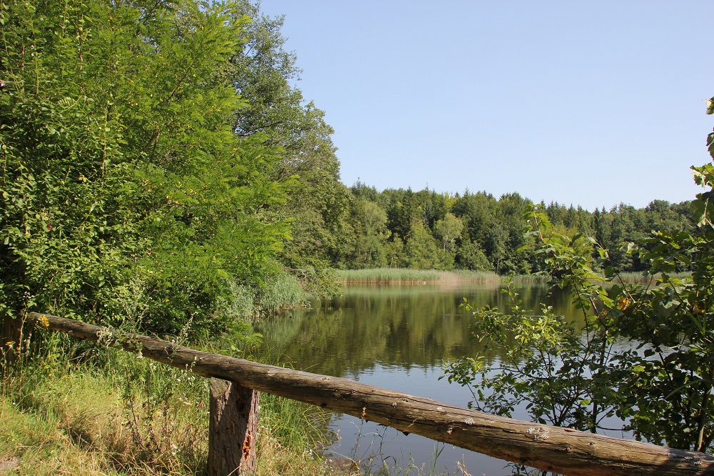 Wanderweg in Oberschwaben: Baindter Waldweiher Route Nord