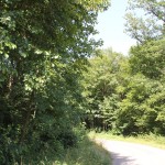 40-Baindter-Wald-Rückweg-nach-Kümmerazhofen1