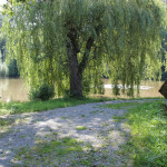 403 Weiher hinter Forsthaus