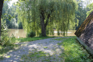 403 Weiher hinter Forsthaus