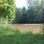 404 Blick auf Weiher beim Forthaus