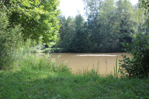 404 Blick auf Weiher beim Forthaus