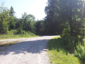 502 Nach Rechts bei Lichtung abbiegen