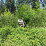 504 Jägerstand danach rechts abbiegen