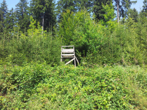 504 Jägerstand danach rechts abbiegen