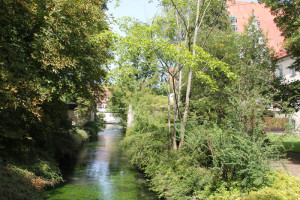 Bach durch Klosterpark Zwiefalten