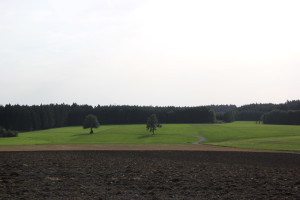 Ausblick von der Grabener Höhe nach Süden