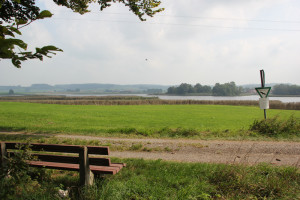 Bank mit Blick auf Vogelfreistätte Rohrsee