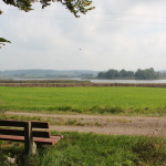 Bank-mit-Blick-auf-Vogelfreistätte-Rohrsee