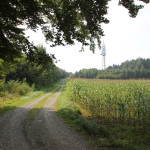 Berg hoch zum Sendemast bei Mennisweiler Bad Waldsee