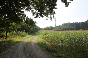 Berg hoch zum Sendemast bei Mennisweiler Bad Waldsee