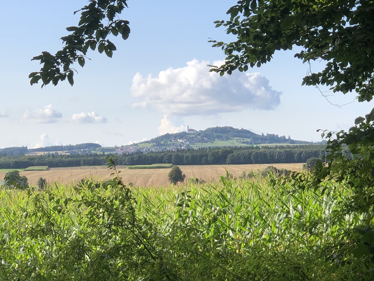 Bussen Berg