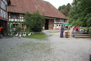 Dorfkern Bauernhaus Museum Wolfegg