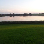 Rohrsee im Sonnenuntergang