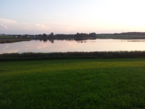 Rohrsee im Sonnenuntergang