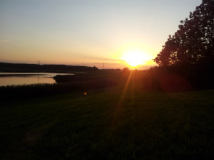 Sonnenuntergang am Rohrsee