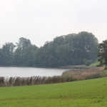 Vogelfreistätte Rohrsee Ufer