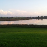 Vogelfreistätte-Rohrsee-Wolkenreflektion-im-Wasser