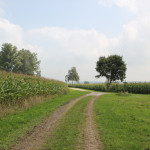 Haidgauer Heide Wanderweg vor Straße