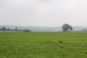 Rohrsee aus Entfernung