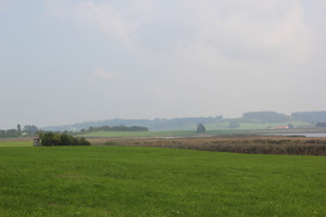 Vogelfreistäte Rohrsee