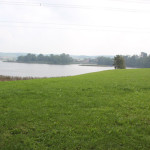 Vogelfreistätte Rohrsee bei Bad Wurzach